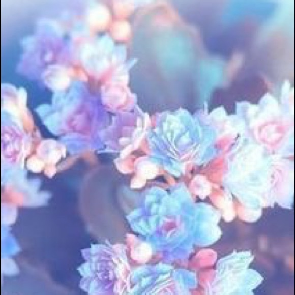 Meet your Posher, Patience - Picture 1 of 1